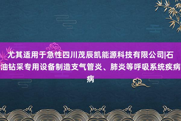 尤其适用于急性四川茂辰凯能源科技有限公司|石油钻采专用设备制造支气管炎、肺炎等呼吸系统疾病