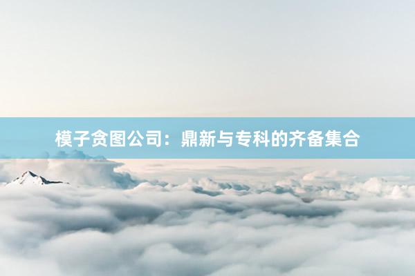 模子贪图公司：鼎新与专科的齐备集合